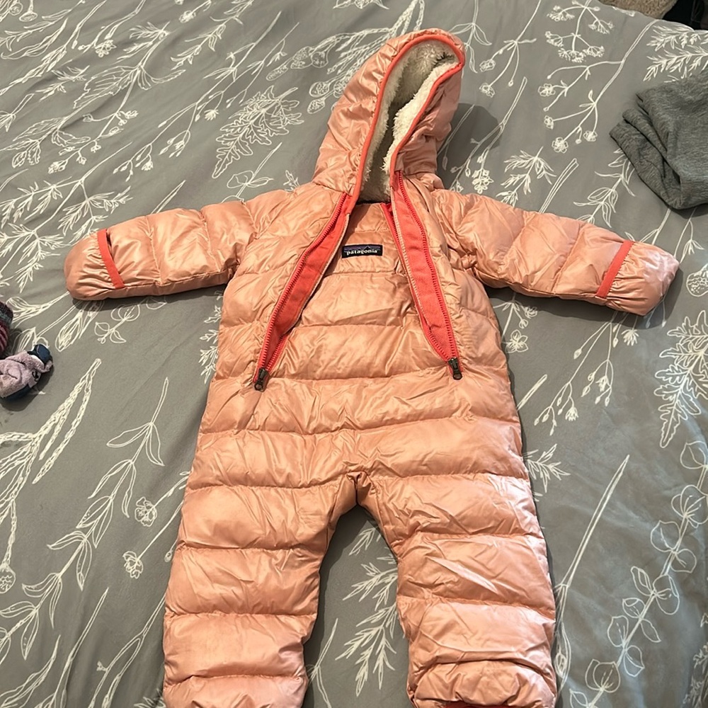 Patagonia bunting 0-3